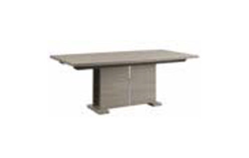 EXTEN. DINING TABLE