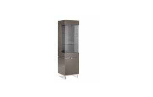 1/D CURIO CABINET
